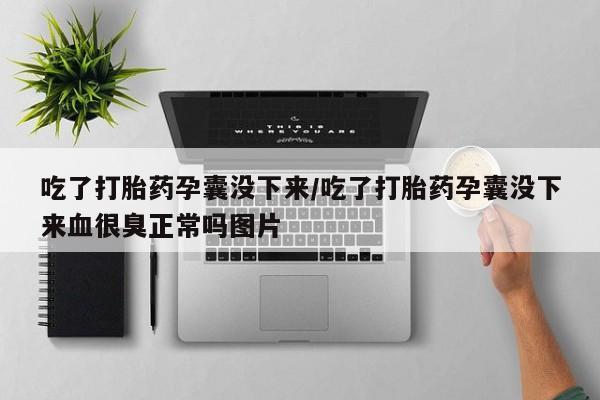 流产药网上购买吃了打胎药孕囊没下来/吃了打胎药孕囊没下来血很臭正常吗图片